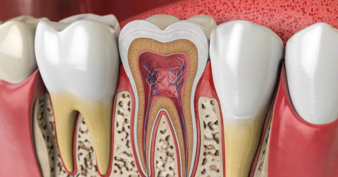 Ile korzeni ma ząb 5 górna? Odkryj zaskakujące fakty o anatomii
