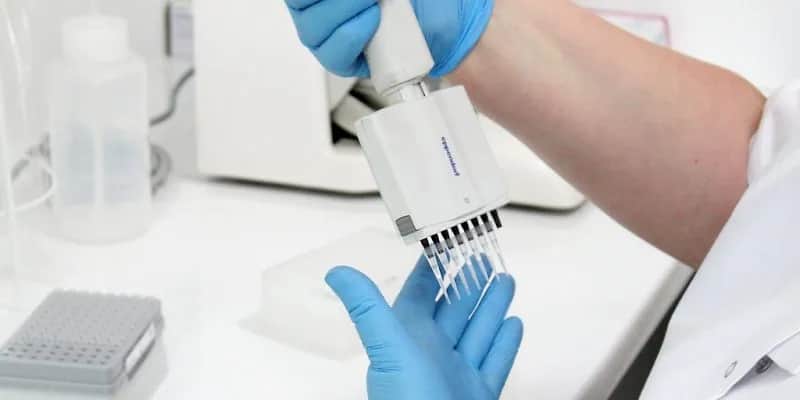 Ile trwa badanie DNA zwłok? Poznaj czynniki wpływające na czas analizy